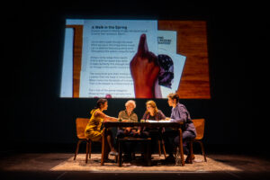 Miriam Fernandes in "What You Won't Do For Love" by Tara Cullis, Miriam Fernandes, Ravi Jain, and David Suzuki at Why Not Theatre.